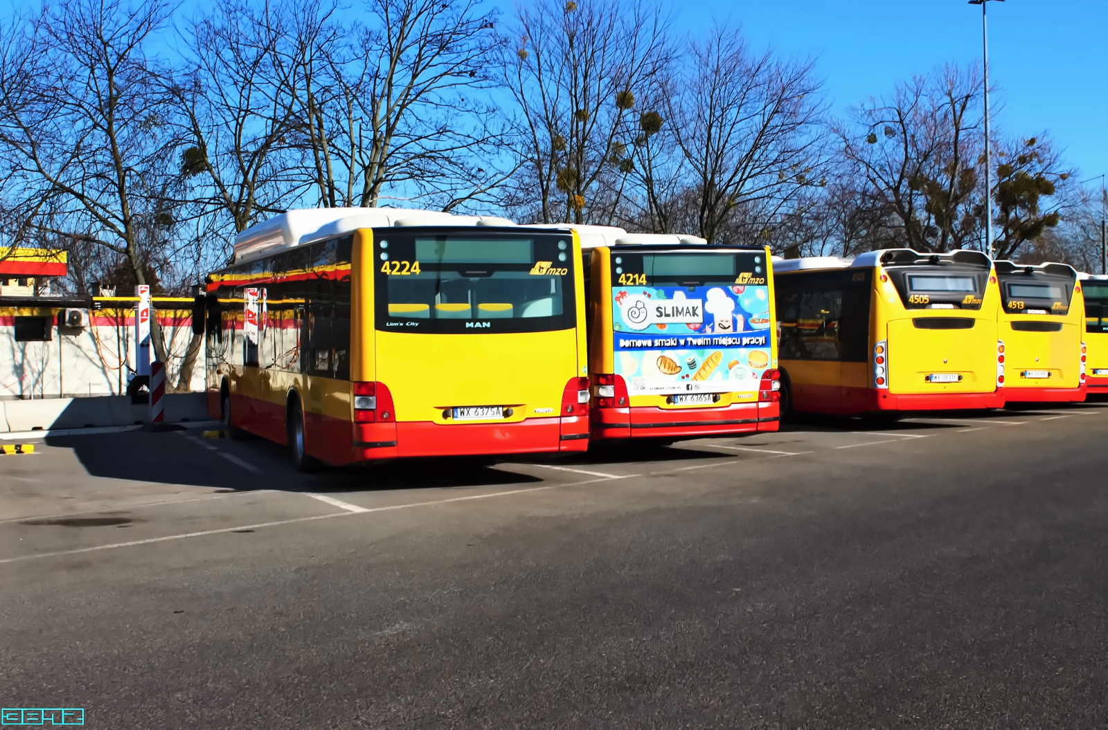 4224, 4214, 4505, 4513
Słowa kluczowe: CN280UB4M323CNG 4505 4513 LionsCityCNG 4224 4214 ZajezdniaKleszczowa 2025