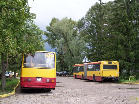 5675, 7902
5675 już śmiga po mieście. 7902 czeka na naprawę spalonego silnika. Do dziś
Słowa kluczowe: Ik280 R7; Jelcz M181M R9, R6