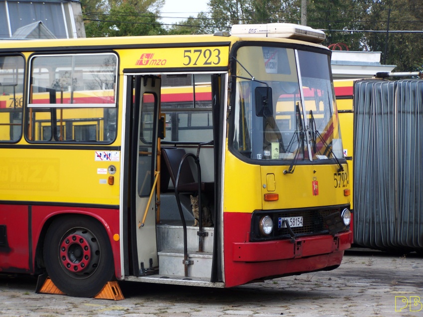 5723
Kocie sprawy
Słowa kluczowe: Ik280 5723 R11 ORT