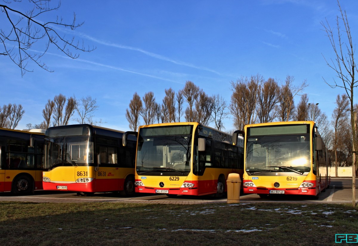 6219, 6229, 8631
Słowa kluczowe: ConectoG 6219 6229 SU15 8631 ZajezdniaKleszczowa 2019