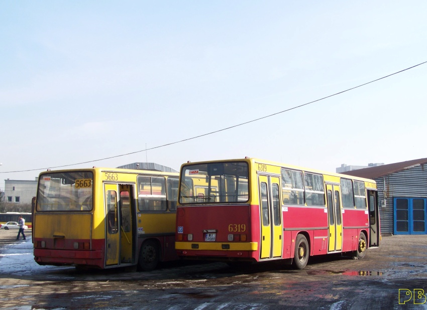 6330
Już na placu w CWSie.
Od dzisiaj rozpoczyna się jego nowe życie. W poniedziałek ustalone zostaną zasady techniczne odbudowy. 
Po wyjezdzie z hali napraw 5254, 6330 zajmie jego miejsce. Potrwa to kilka dni.
6330 na pewno będzie miał całe żółte osie wraz z felgami (w odróżnieniu od srebrnych, również autentycznych felg 5254) - a wszystko zgodnie z historią.
Słowa kluczowe: Ik260 6330 ORT R10