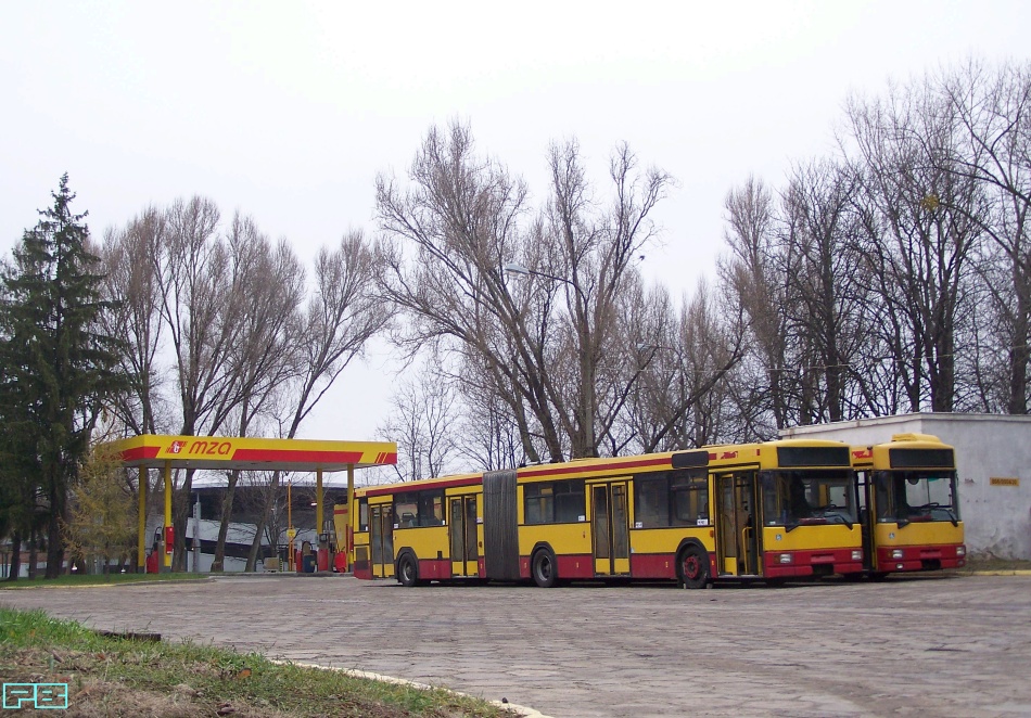 7903, 7761
W kostnicy.
Słowa kluczowe: M181M 7903 7761 ORT 2013