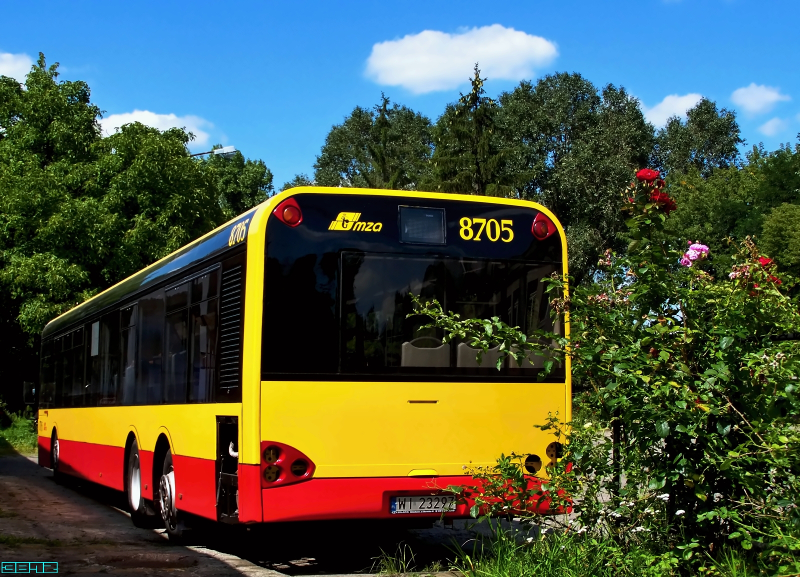 8705
Słowa kluczowe: SU15 8705 ORT 2011