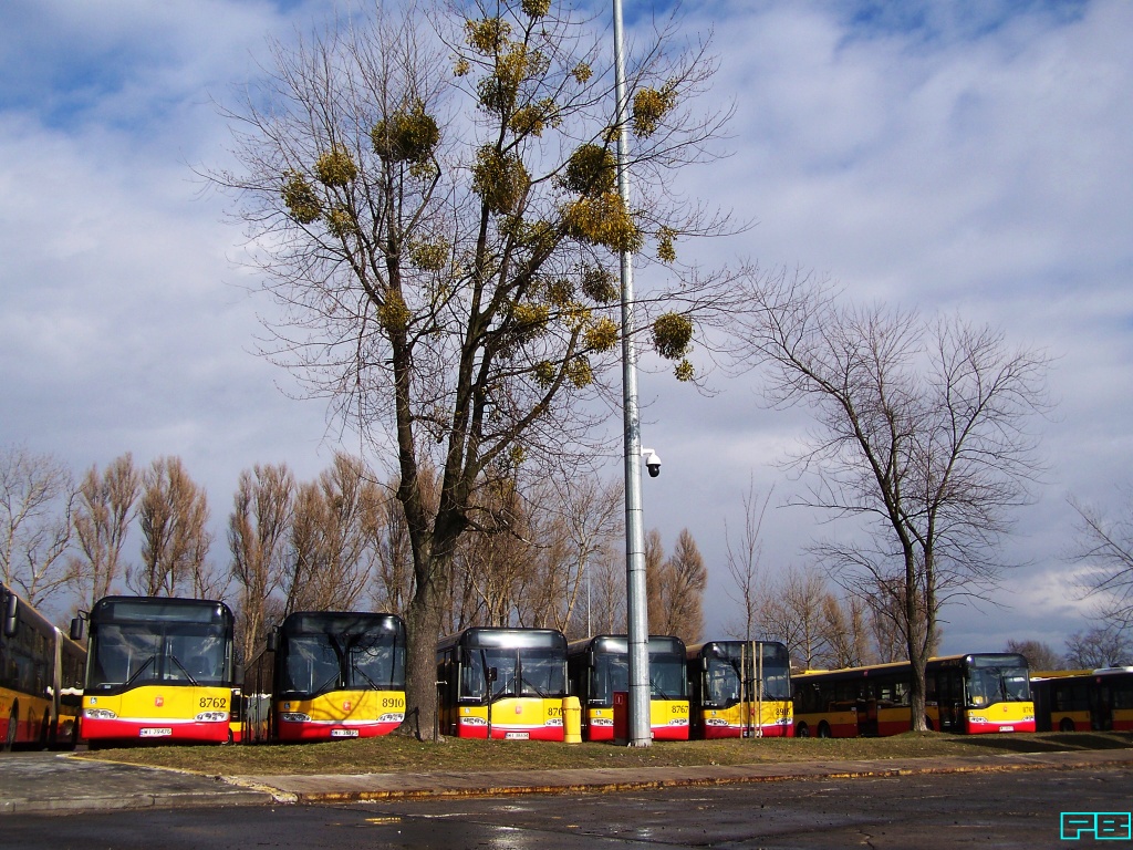 8762, 8910
Piętnastometrowe Solarisy pod wielkimi jemiołami wciąż sprawne.
Słowa kluczowe: SU15 8762 8910 ZajezdniaKleszczowa 2017