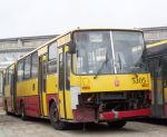 5305r.jpg