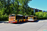 54542C_8878.jpg