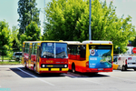 Nazwa pliku=69302C_4422.jpg
Wielkość pliku=2489KiB
Rozmiar=1600x1067
Data dodania= 30, Maj 2025 69302C_4422.jpg