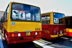 Nazwa pliku=69412C_6954_28329.JPG
Wielkość pliku=527KiB
Rozmiar=1600x1067
Data dodania= 30, Maj 2025 69412C_6954_28329.JPG