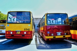 Nazwa pliku=69412C_6954_28529.JPG
Wielkość pliku=555KiB
Rozmiar=1600x1067
Data dodania= 30, Maj 2025 69412C_6954_28529.JPG