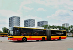 7811.jpg