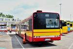 8175.jpg