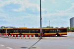81752C.jpg