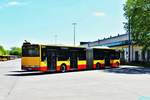 8459.jpg
