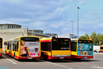 88082C_85582C_2036.jpg
