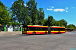 8874.jpg