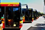 88772C_85122C_8582.jpg