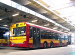 8919 (16).jpg